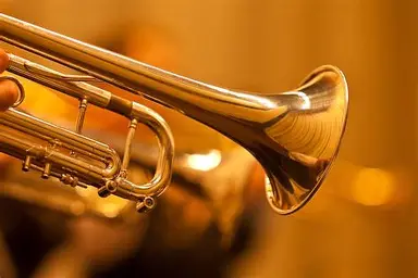 trumpet